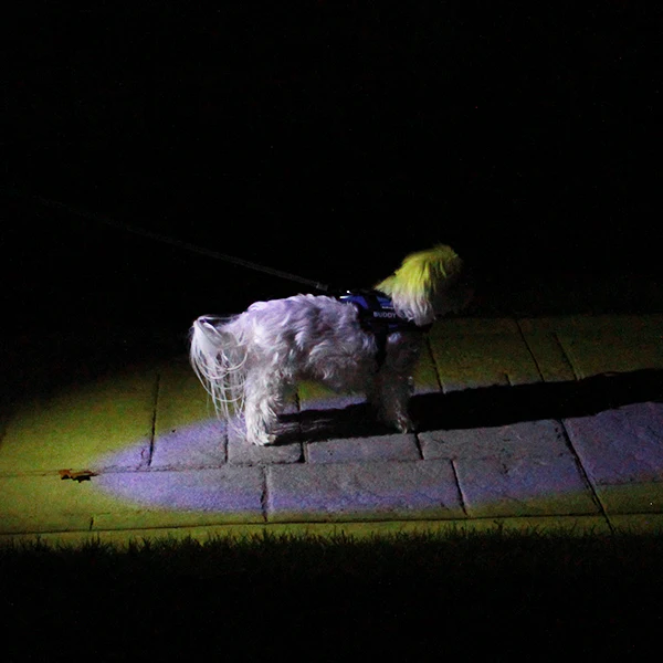 All-In-One Pluffynest Leash thumbnail 4