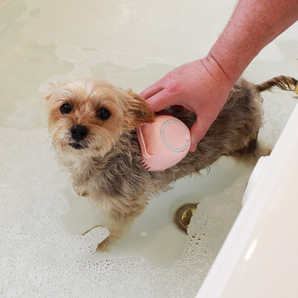 Pet Wash Brush thumbnail 2