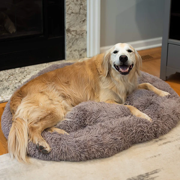 Anxiety Calming Pet Bed thumbnail 2