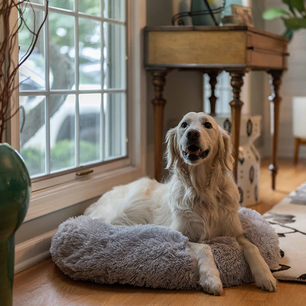 Anxiety Calming Pet Bed thumbnail 3