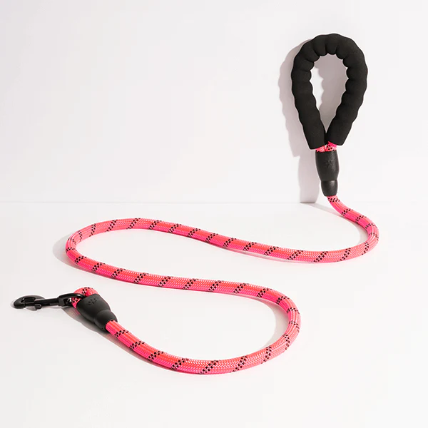 Classic Dog Leash thumbnail 2
