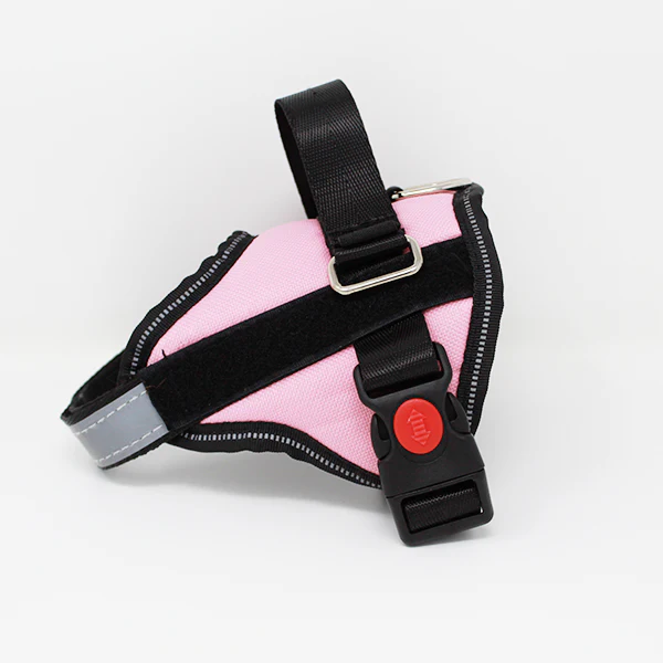No-Pull Dog Harness (Used In New Condition) thumbnail 2